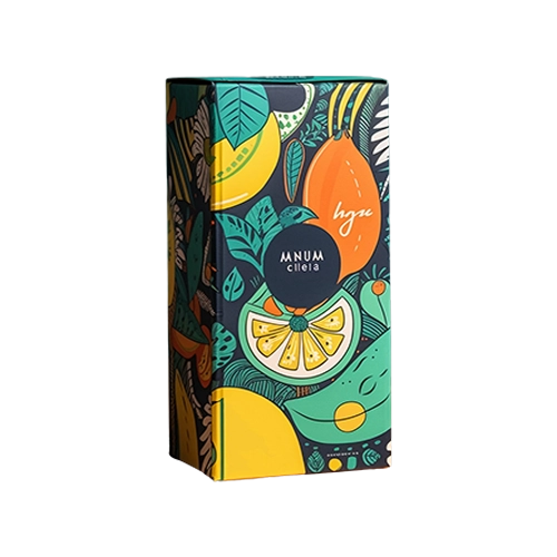 Branded box with full color printing, aqueous coating and handle at top for easy handling